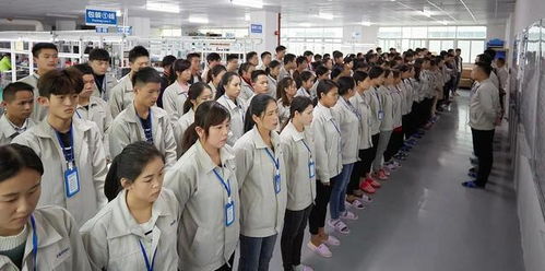 專家建議取消勞務派遣,讓企業公平對待每一位員工,你支持嗎