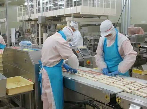 出國勞務派遣需注意 區別真假要看這些話